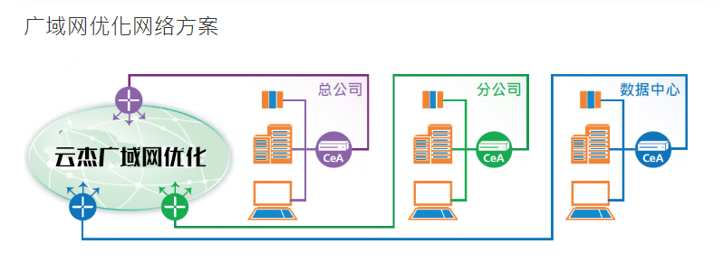 云杰廣域優化解決方案