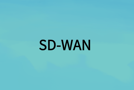 為您的企業選擇合適的SD-WAN方案