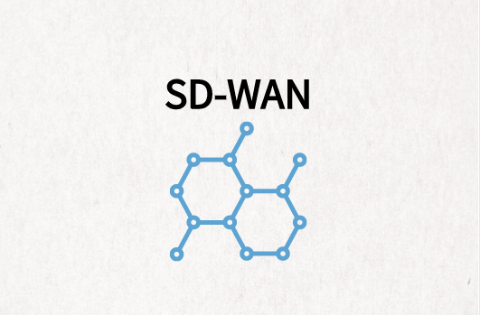 SD-WAN安全性領先