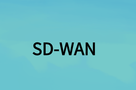 輸入軟件定義的廣域網(SD-WAN)