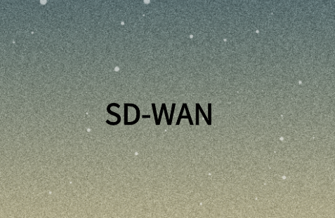 SD-WAN:全球敏捷企業的下一代WAN