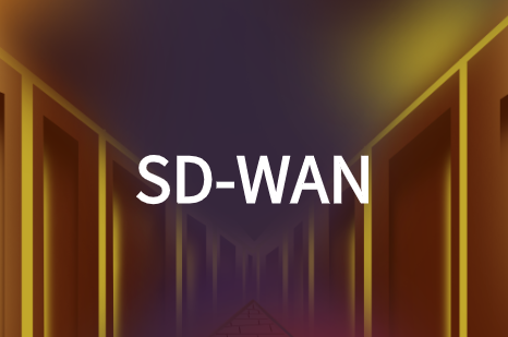 云杰SD-WAN解決方案：實現跨國企業網絡組網互聯