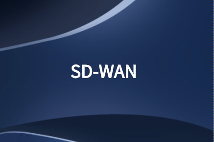 SD-WAN關鍵領域