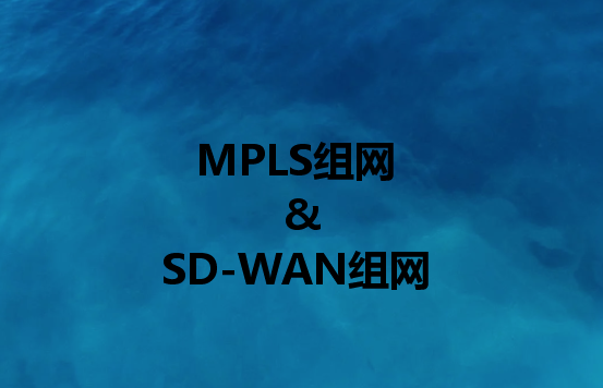 企業組網解決方案：組網或SD-WAN組網