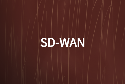 SD-WAN網絡技術如何加強現有WAN網絡性能?