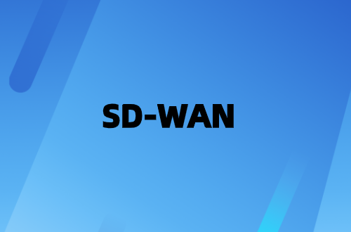 通過SD-WAN避免性能不穩定的慢速網絡