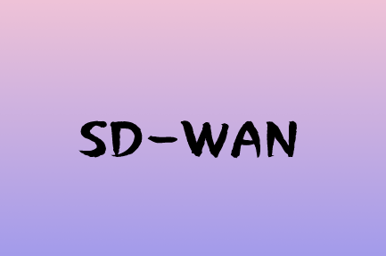 企業利用SD-WAN解決方案進行組網的好處